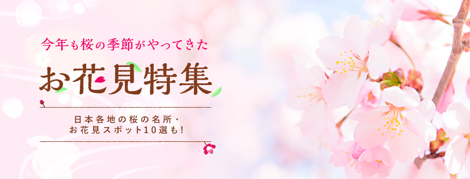 今年も桜の季節がやってきた　お花見特集　日本各地の桜の名所・お花見スポット10選も！